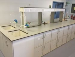 Lab Counters