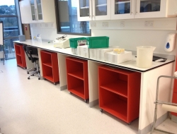 Lab Counters