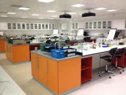 Lab Counters