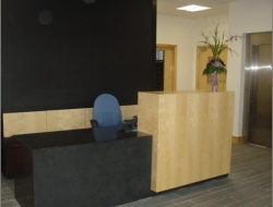 Reception Counters